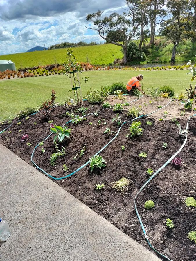 Freshly cleared and mulched garden bed beside a path